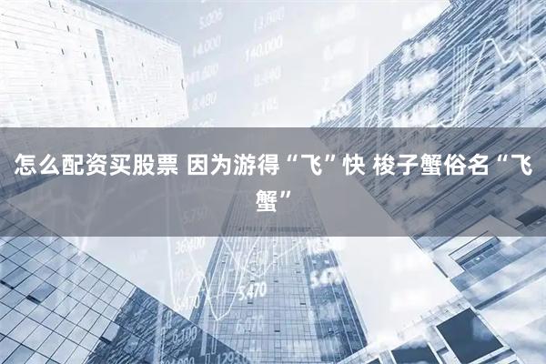 怎么配资买股票 因为游得“飞”快 梭子蟹俗名“飞蟹”