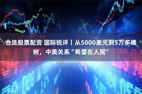 合法股票配资 国际锐评丨从5000美元到5万多棵树,中美关系“希望在人民”